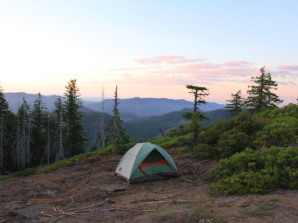 Camping & Wilderness Experiences