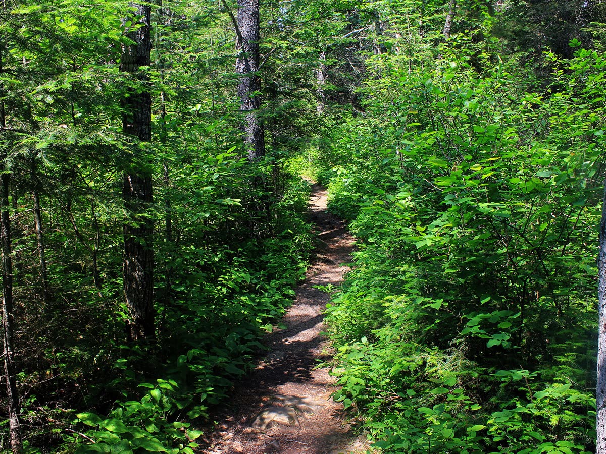 Hiking & Nature Trails