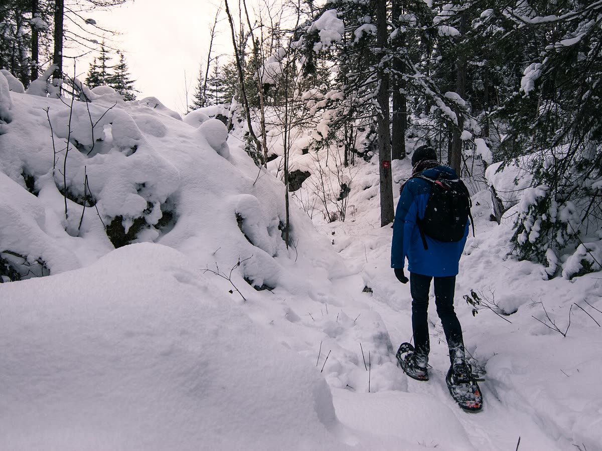 Four-Season Nature